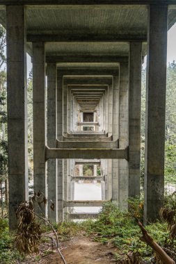 Köprü ormanın içinden geçiyor. Kaliforniya kıyıları.