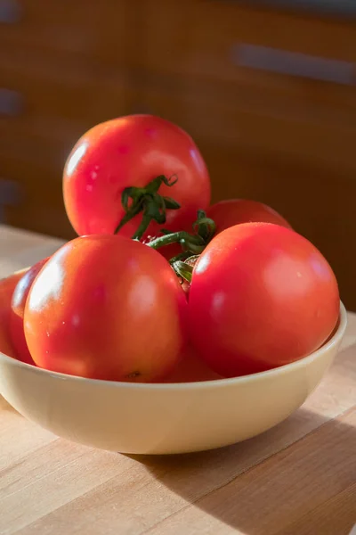 Dojrzałe Pomidory Winorośli Świeże Zbierane — Zdjęcie stockowe