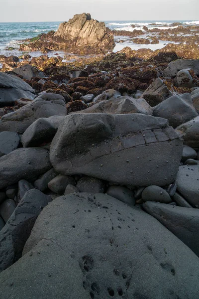Rocas Masivas Expuestas Por Marea Baja — Foto de Stock