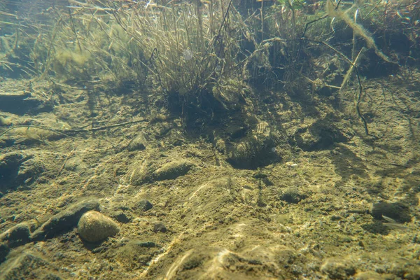 Underwater River Landscape — Stock Photo, Image