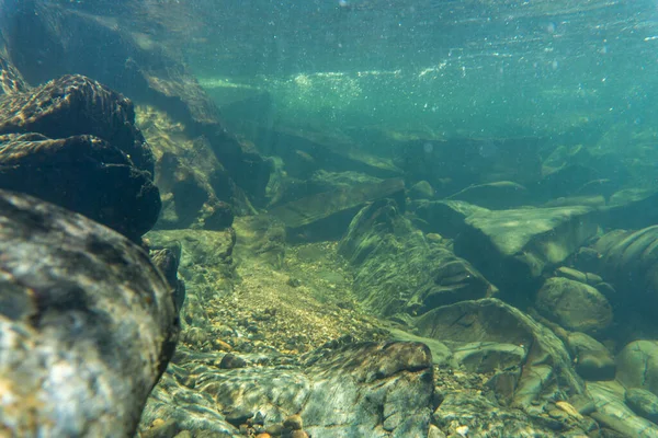 Smallmouth Bass Underwater — Stock Photo, Image