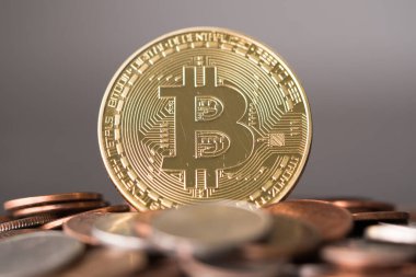 Altın bitcoin cryptocurrency sikke