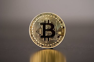 Altın bitcoin cryptocurrency sikke