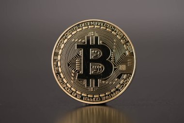 Altın bitcoin cryptocurrency sikke