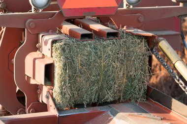 Kırmızı saman yoncası traktörü kefaletle serbest bıraktı..