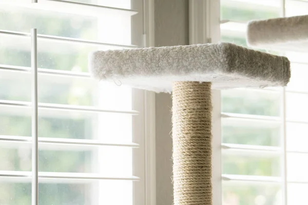 white wool twine rope cat tree bed next to window inside house