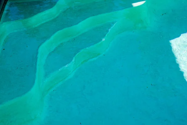 蓝色绿色清澈游泳池台阶 — 图库照片