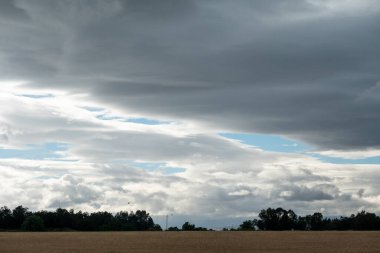 Buğday tarlaları üzerinde dramatik fırtına bulutları