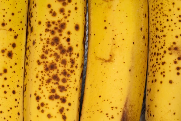 封闭被压伤的香蕉果皮 — 图库照片