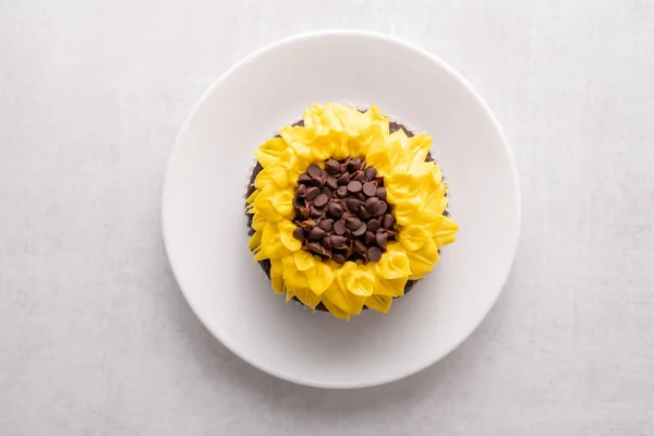 배경에 초콜릿 케이크로 장식된 아름다운 해바라기 — 스톡 사진