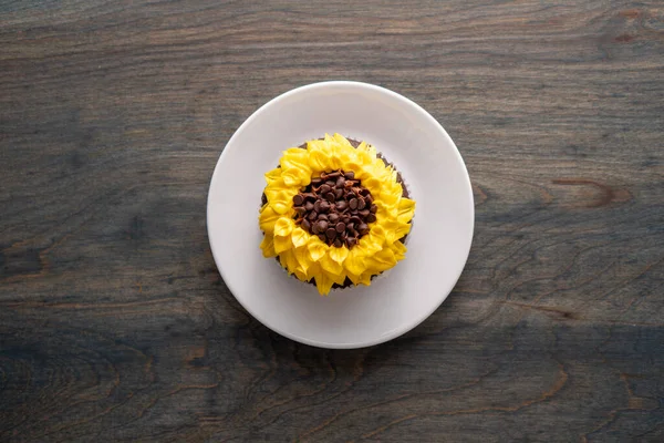 어두운 배경에 초콜릿 케이크로 장식된 아름다운 해바라기 — 스톡 사진