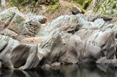 Cosumnes nehri boyunca kurumuş çimenler sel sularıyla yıkıldı.