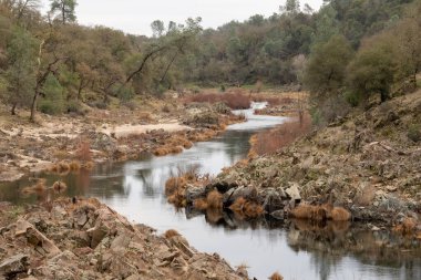 Cosumnes nehri boyunca kurumuş çimenler sel sularıyla yıkıldı.
