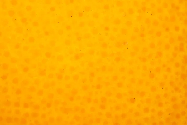 Turuncu kabuk son derece yakın arkaplan