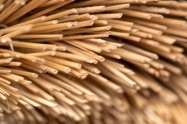 stock image macro image of the end of a broom bristles