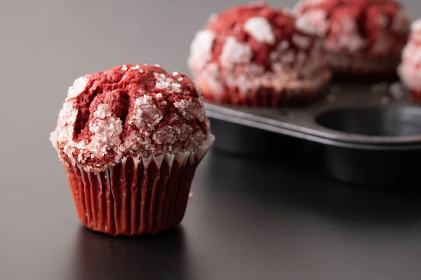 Muffin Terciopelo Rojo Cupcake Tema Negro —  Fotos de Stock