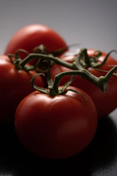 Dramatyczne Okna Oświetlone Dojrzałych Pomidorów Winorośli — Zdjęcie stockowe