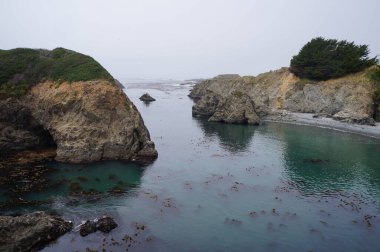 Sis, Mendocino California 'nın kayalık sahil kayalıklarını yutuyor. 