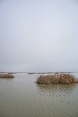 Sulak alanlarda bir göletin üzerindeki bulutlar
