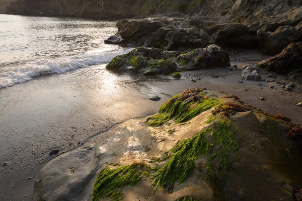 Nízký Příliv Odhaluje Skály Písek Mořské Řasy Západem Slunce Pláži — Stock fotografie