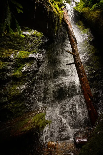 Водопад Над Скалой Упавшие Бревна Мох — стоковое фото