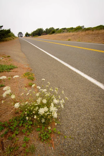 Strona Drogi Autostrady Pobliżu Mendocino Kalifornia — Zdjęcie stockowe