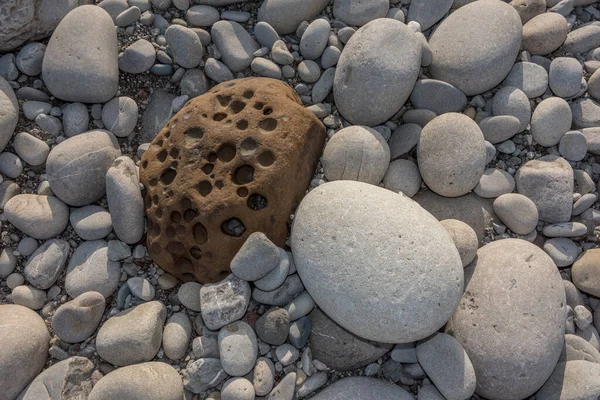 stock image river rock standing out