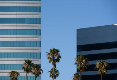 Mavi çizgili pencereleri ve beyaz duvarları olan uzun bir bina. Kısa binalara ve palmiye ağaçlarına bakıyor.