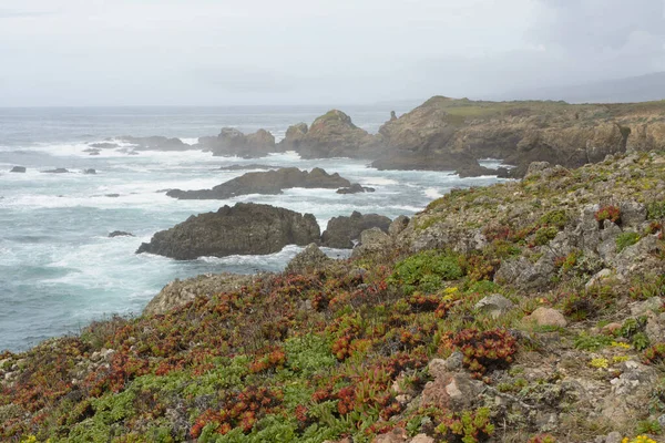 Προοπτική Άποψη Βραχώδη Βράχια Λίγη Βλάστηση Και Τραχιά Κύματα Του — Φωτογραφία Αρχείου