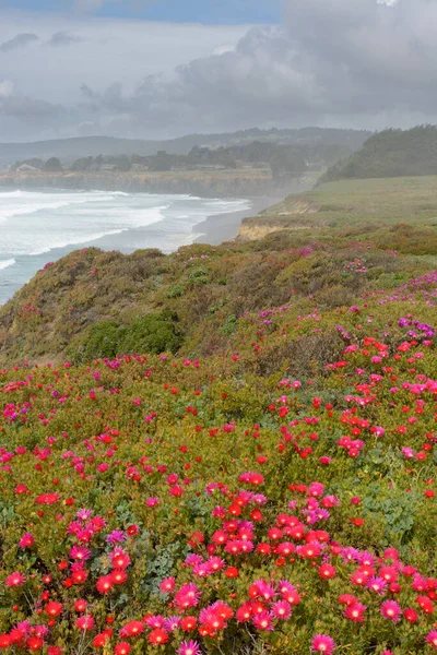 In this landscape pink, purple and red flowers ar in the foreground, with lush greenery. The ocean mist raises from the waves and creates a fog on a cloudy blue sky day.
