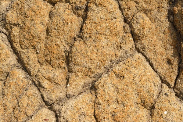 Dry Dirt Wall Layerd Dirt Showing Cracks Other Weather — Stock Photo, Image