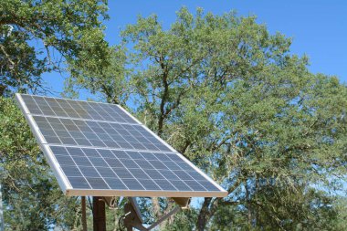 Yeşil ağaçların ve mavi gökyüzünün arka planında modern güneş bataryalarının doğadaki görüntüsü