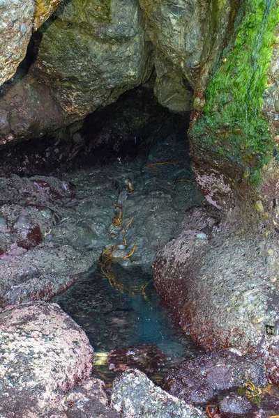 Cueva Marina Revelada Medida Que Marea Oceánica Pacífica Baja — Foto de Stock