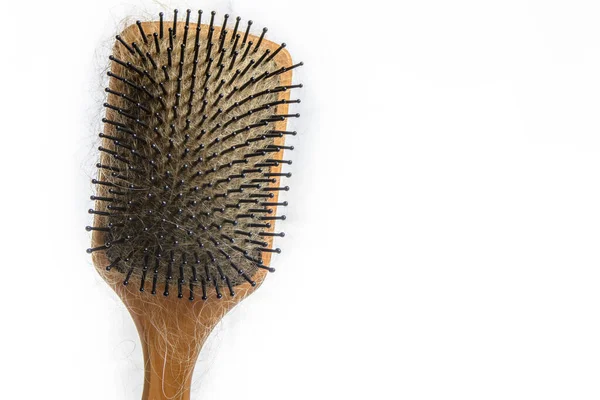 Large Hair Brush Filled Tangled Blond Hair — Stock Photo, Image