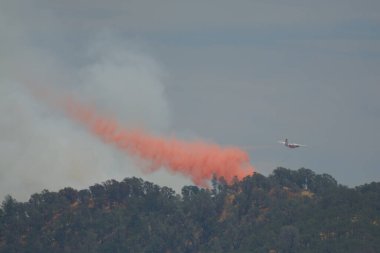 Kaliforniya, Berryessa Gölü 'ndeki bir tepede yangını söndüren bir Cal Fire uçağı.