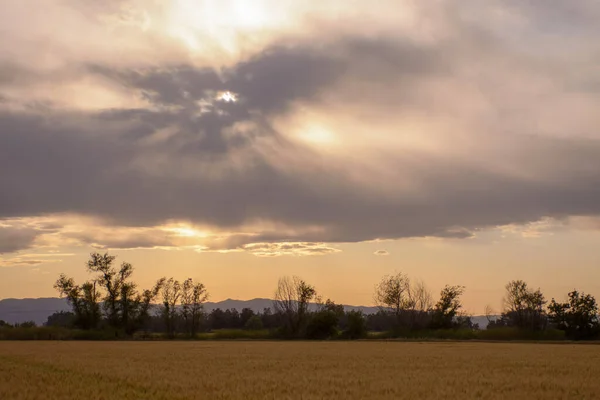 Солнце Сквозь Грозовые Тучи Над Пшеничным Полем — стоковое фото