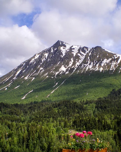 Beautiful alaskan mountains wilderness springtime