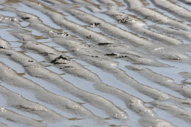 Kum dalgası deseni soyut 