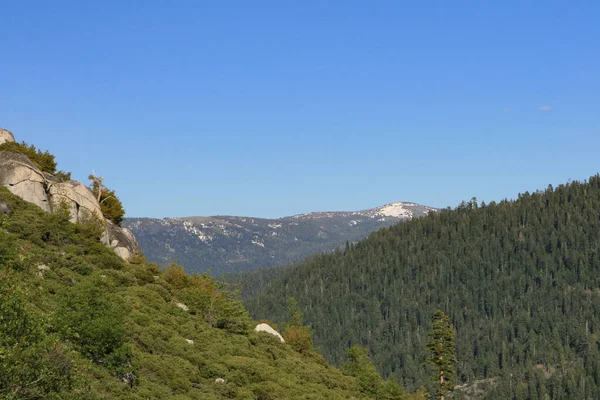 Waldsilhouette Kaliforniens — Stockfoto