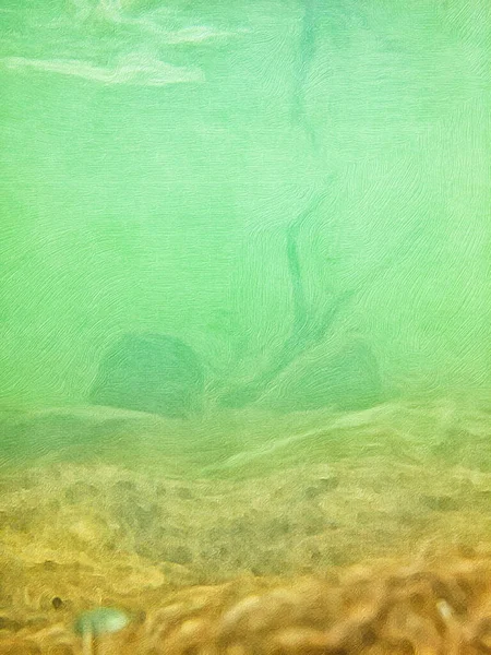 Undervatten Sand Flodbädd Klippor Grund Gren — Stockfoto