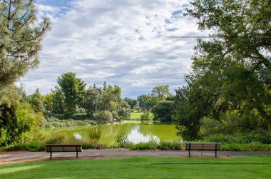 Şehir parkı göleti ve banklar