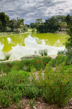 Şehir Parkı ve su birikintisi
