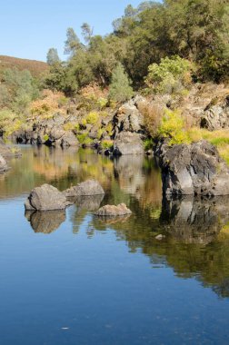 Kayalar ve ağaçlarla dolu temiz su nehri