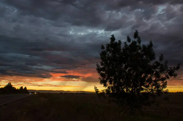 Sonnenuntergang Baum Dramatik Himmel Sturm Wetter Wolken — Stockfoto