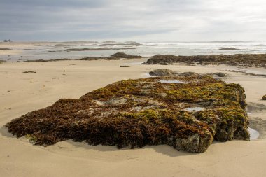 Kumlu sahilde kayalık bir çıkıntı.
