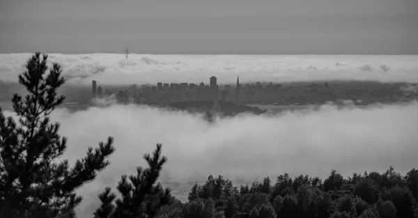 San francisco skyline covered in fog