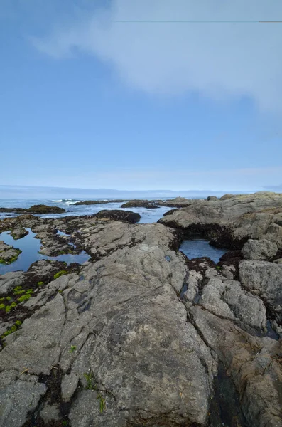 Dalgalar Kayaları Deniz Yaşamını Ortaya Çıkardı — Stok fotoğraf