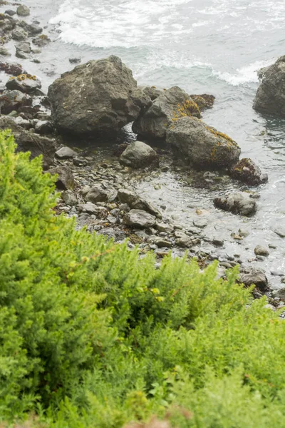 波涛汹涌 绿树成荫的岩石海岸线 — 图库照片