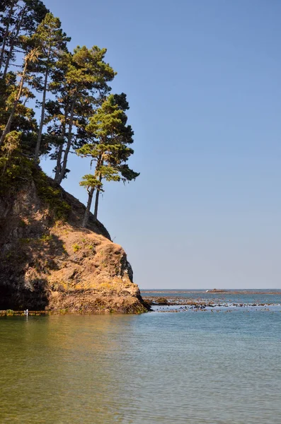 Bahía Del Océano Con Acantilado Terrestre Pinos — Foto de Stock