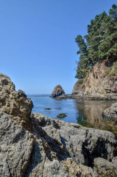 陸崖と松の木の海の湾 — ストック写真